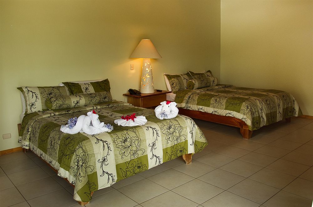 Ficus Lodge Monteverde Екстер'єр фото